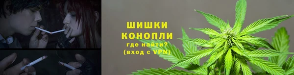 apvp Алексин