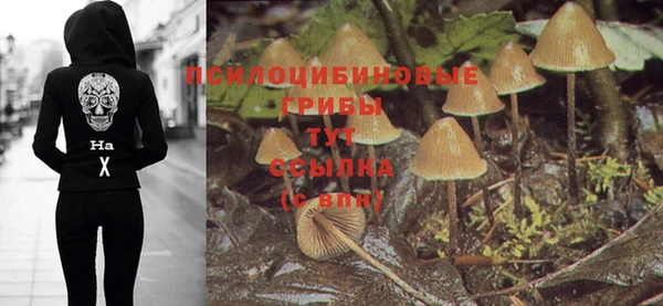 шишки Абинск